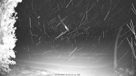 Image from 2025-01-22