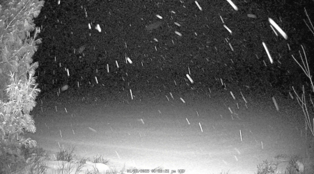 Image from 2025-01-22