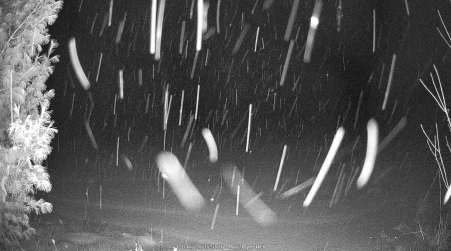 Image from 2025-01-22