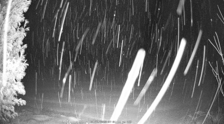 Image from 2025-01-22