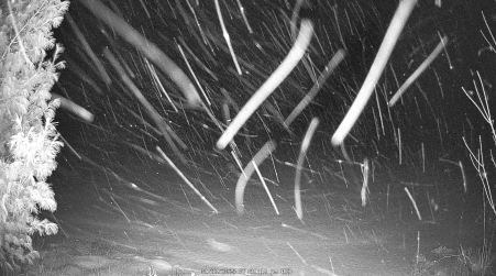 Image from 2025-01-22