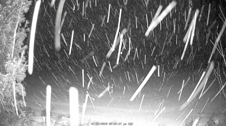 Image from 2025-01-22