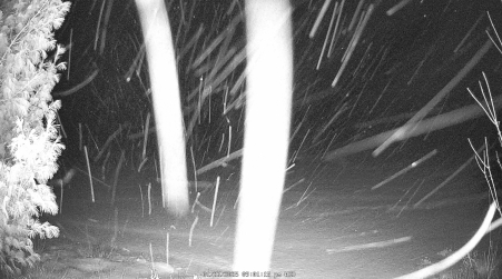 Image from 2025-01-22