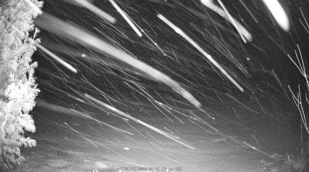 Image from 2025-01-22