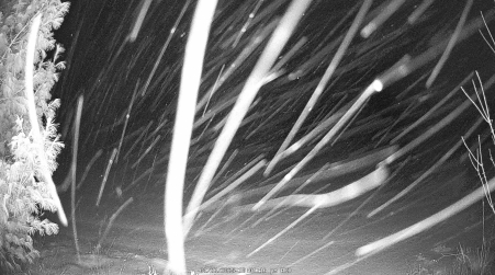Image from 2025-01-22