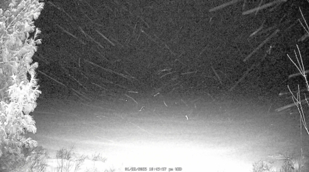 Image from 2025-01-22