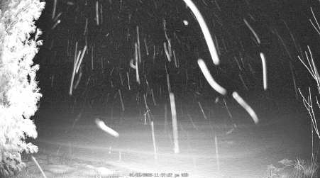 Image from 2025-01-22