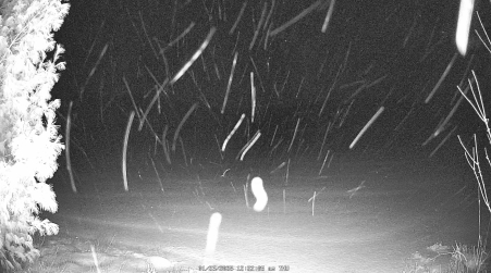 Image from 2025-01-23