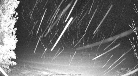 Image from 2025-01-23