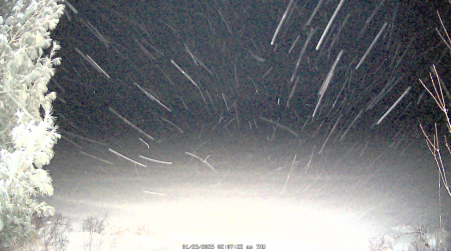 Image from 2025-01-23