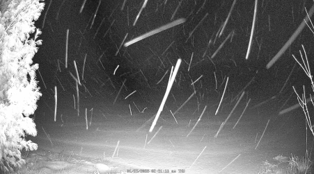Image from 2025-01-23