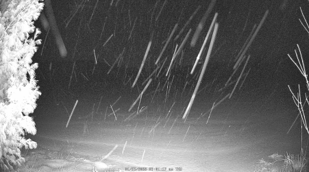 Image from 2025-01-23