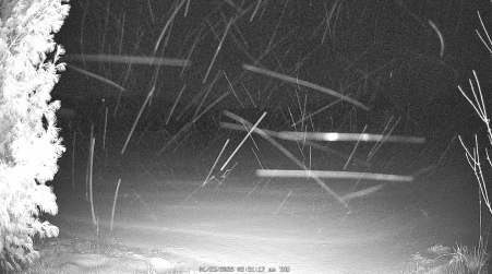 Image from 2025-01-23