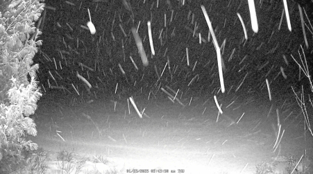 Image from 2025-01-23