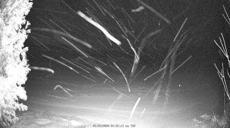 Image from 2025-01-23