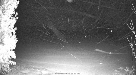 Image from 2025-01-23