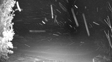 Image from 2025-01-23