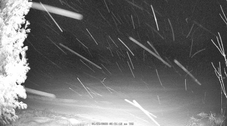 Image from 2025-01-23