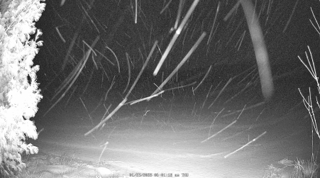Image from 2025-01-23