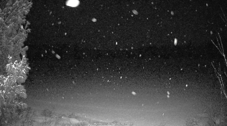 Image from 2025-01-23