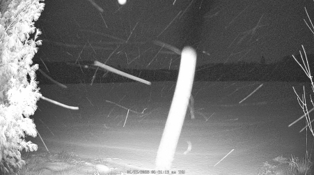 Image from 2025-01-23