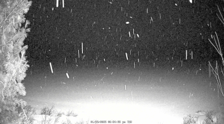 Image from 2025-01-23