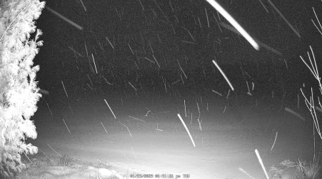 Image from 2025-01-23