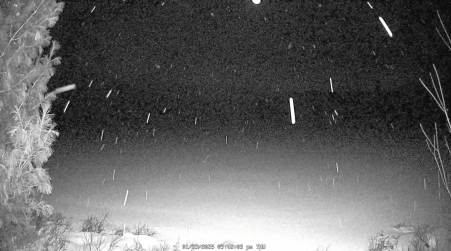 Image from 2025-01-23