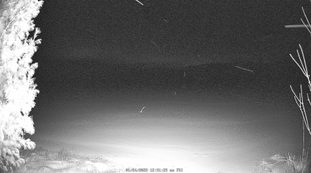 Image from 2025-01-24