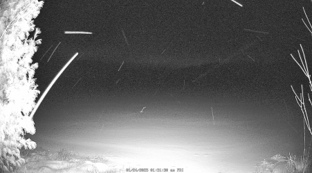 Image from 2025-01-24