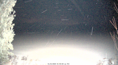 Image from 2025-01-24