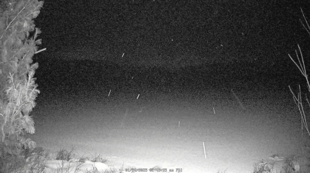 Image from 2025-01-24