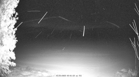 Image from 2025-01-24