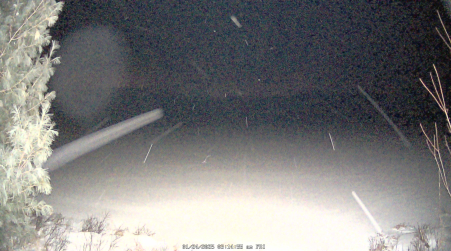 Image from 2025-01-24