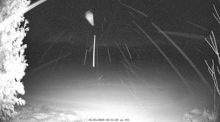 Image from 2025-01-24