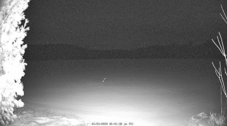 Image from 2025-01-24