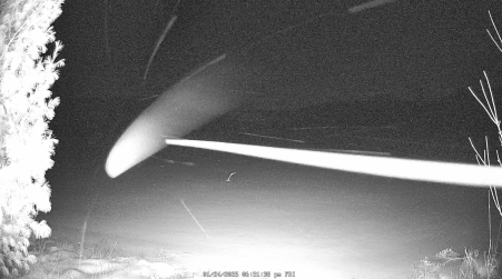 Image from 2025-01-24