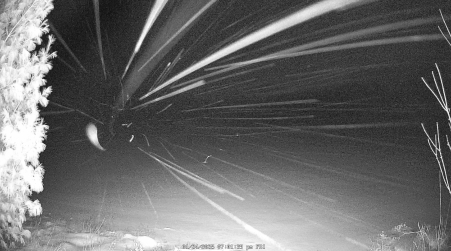 Image from 2025-01-24