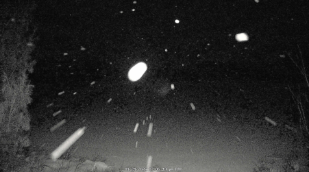 Image from 2025-01-24