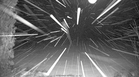 Image from 2025-01-24