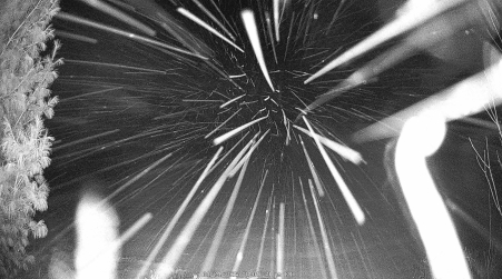 Image from 2025-01-24