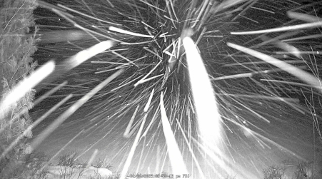 Image from 2025-01-24