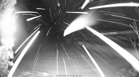 Image from 2025-01-24