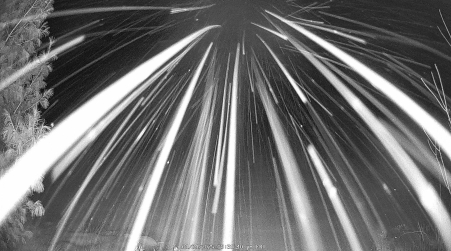 Image from 2025-01-24