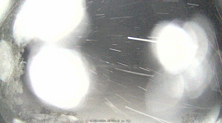 Image from 2025-01-24