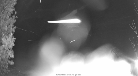 Image from 2025-01-24