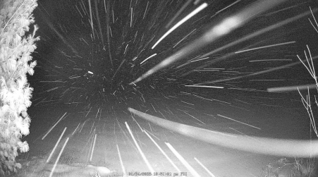 Image from 2025-01-24