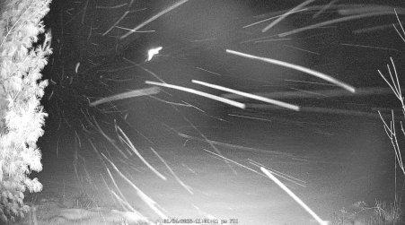 Image from 2025-01-24