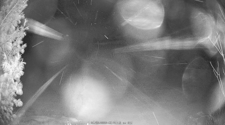 Image from 2025-01-25