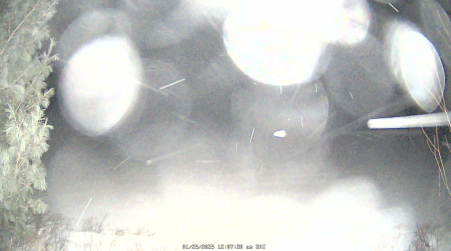 Image from 2025-01-25